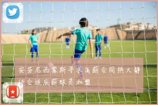 安芬尼西蒙斯寻求高薪合同热火静待合适底薪球员加盟