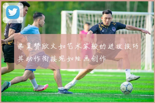 弗莱赞欧文如艺术家般的进攻技巧其动作衔接宛如绘画创作